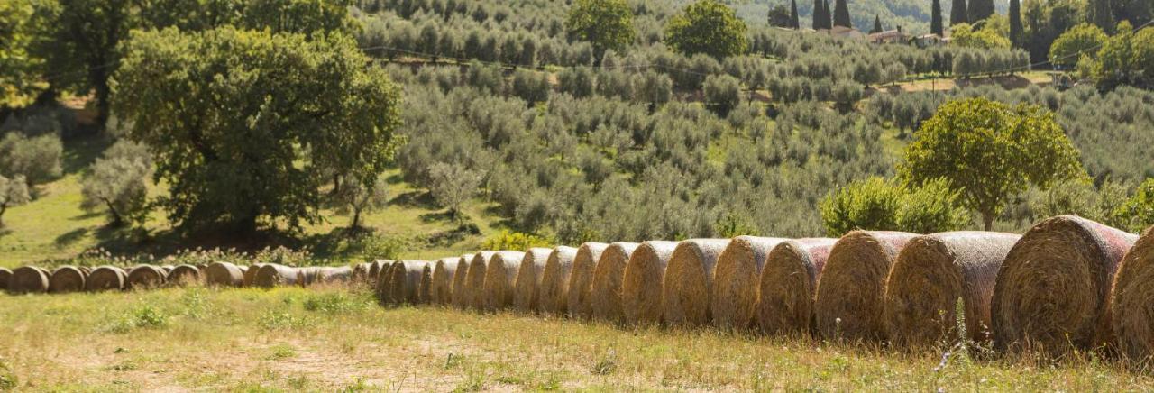 Agriturismo I Melograni Ferentillo Екстер'єр фото