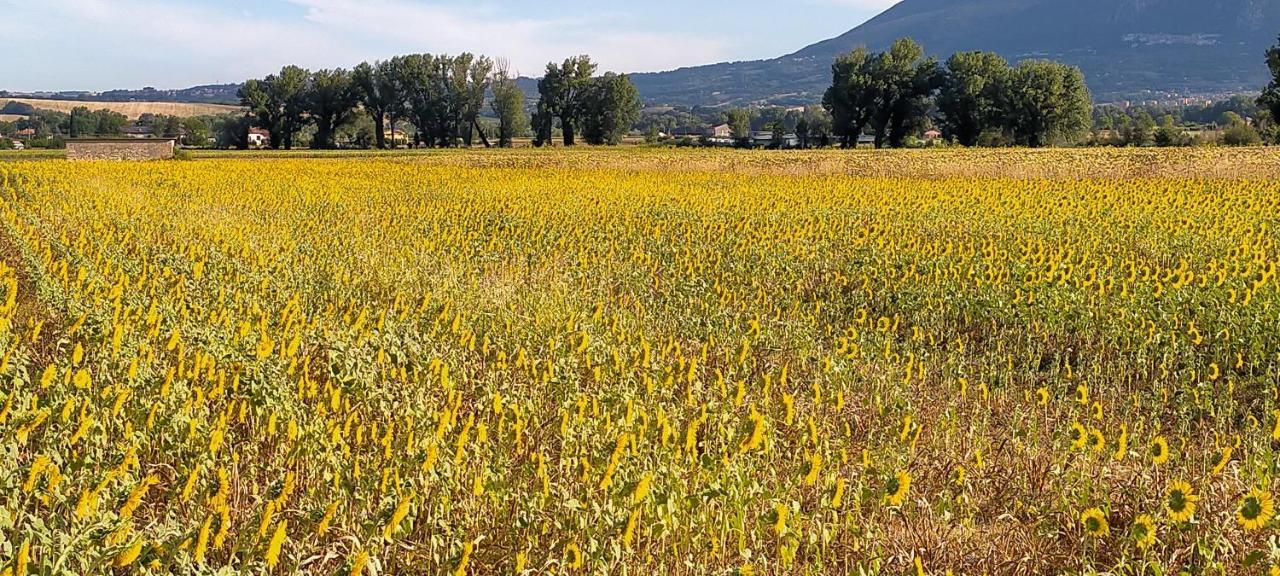 Agriturismo I Melograni Ferentillo Екстер'єр фото