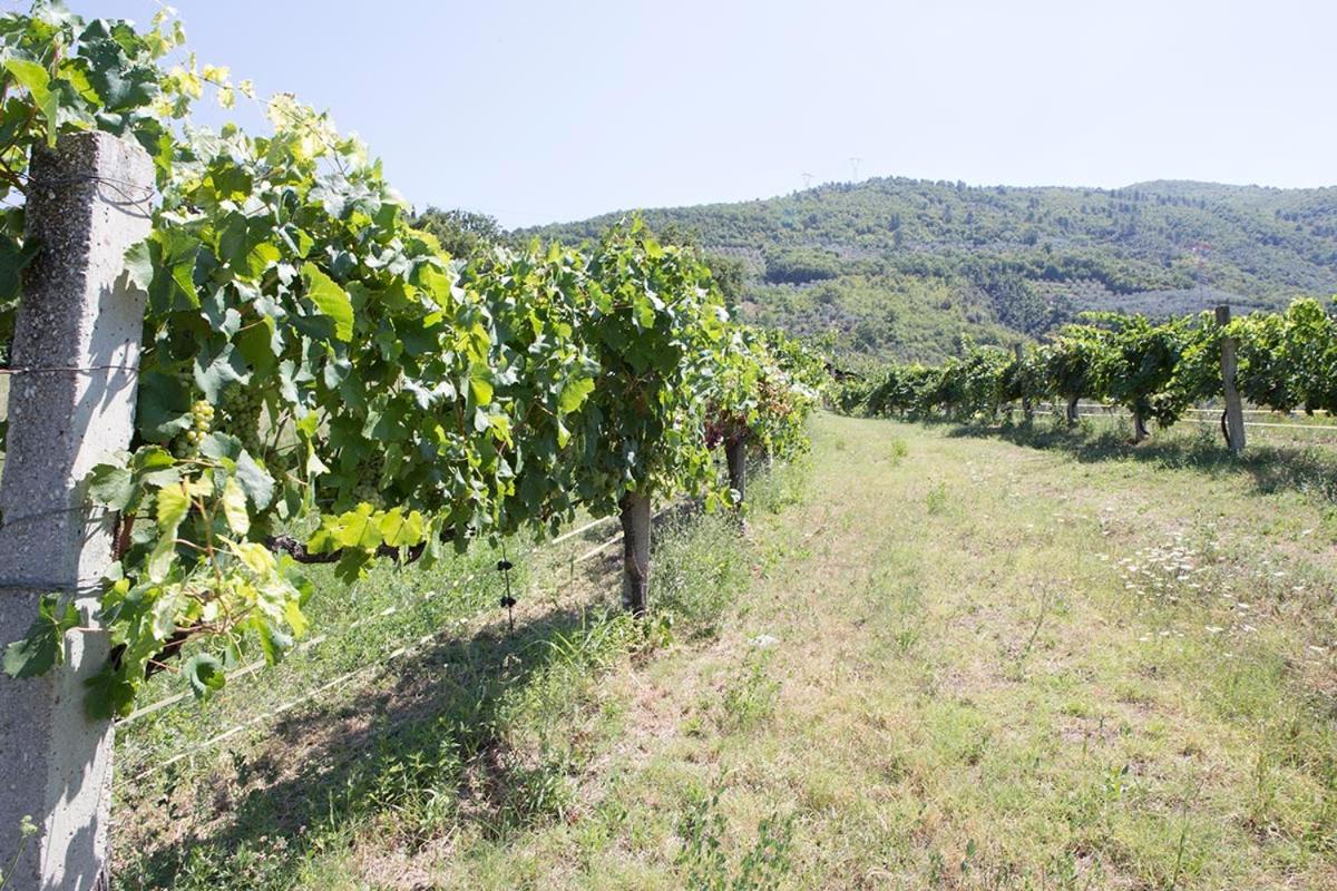 Agriturismo I Melograni Ferentillo Екстер'єр фото