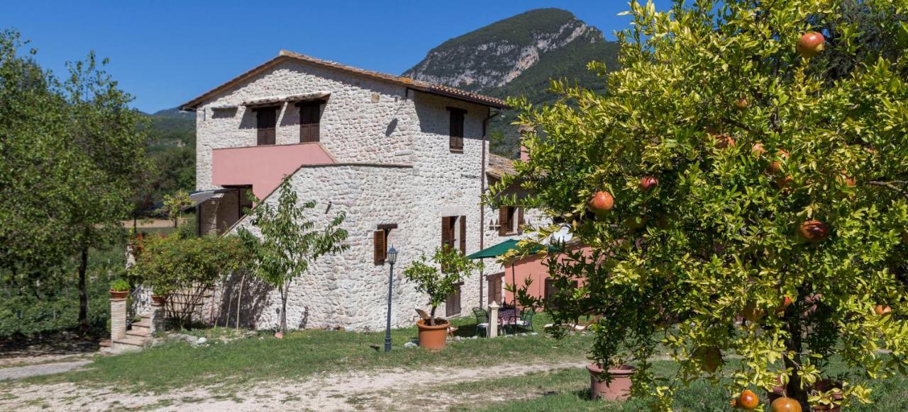 Agriturismo I Melograni Ferentillo Екстер'єр фото