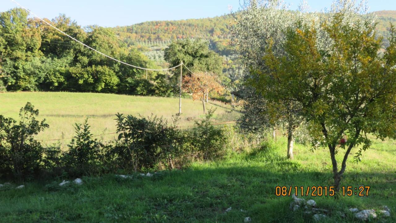 Agriturismo I Melograni Ferentillo Екстер'єр фото
