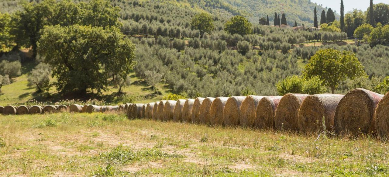 Agriturismo I Melograni Ferentillo Екстер'єр фото