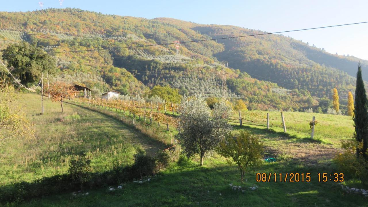 Agriturismo I Melograni Ferentillo Екстер'єр фото