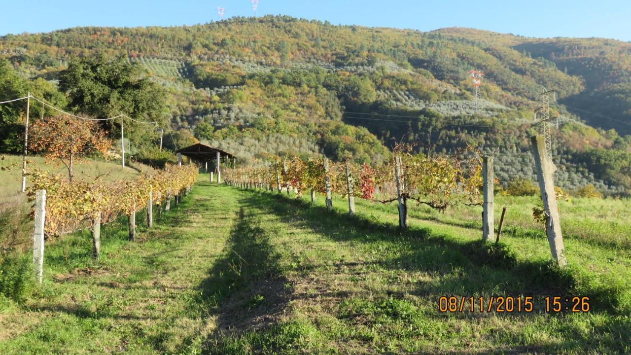 Agriturismo I Melograni Ferentillo Екстер'єр фото